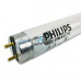 Лампа бактерицидная Philips TUV G25 T8 15W G13 специальная безозоновая